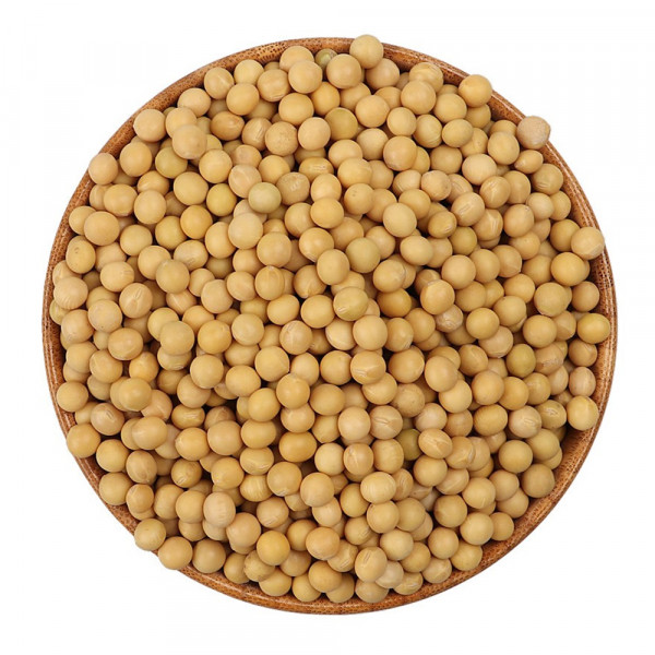 Soybean / 散装黄豆