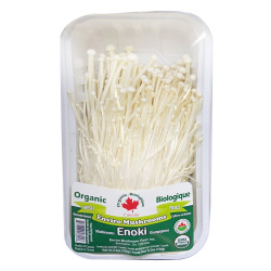 Organic fresh enviro mushrooms / 有机金针菇 - 150g Organic fresh enviro mushrooms / 有机金针菇 - 150g