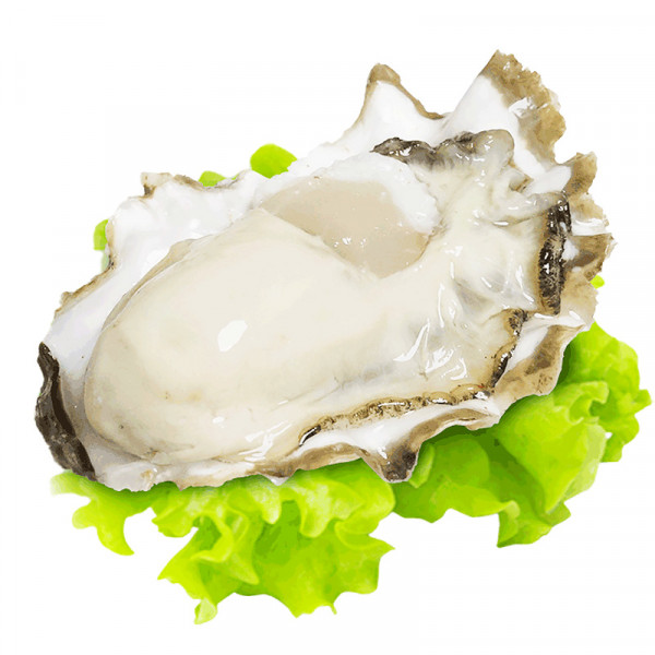 Sea Rock Fresh Pafific Oysters / 太平洋新鲜生蚝  - 2PCs