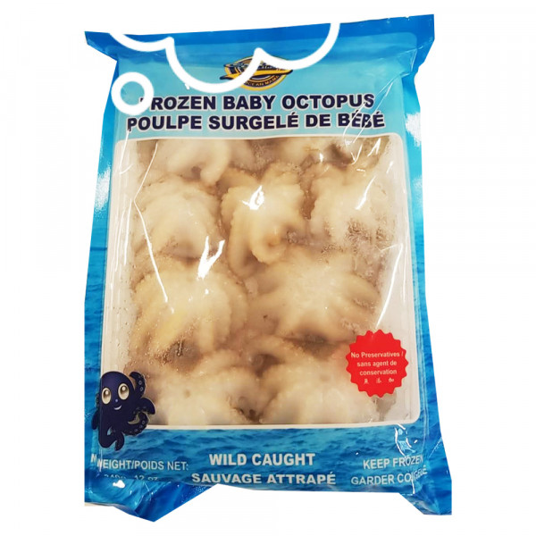 Frozen baby octopus / 冷冻小章鱼