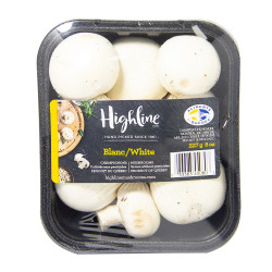 Highline white Mushroom / 本地白蘑菇 - 227g Highline white Mushroom / 本地白蘑菇 - 227g