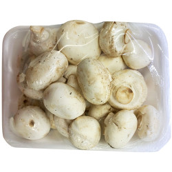 White mushrooms / 白蘑菇 White mushrooms / 白蘑菇