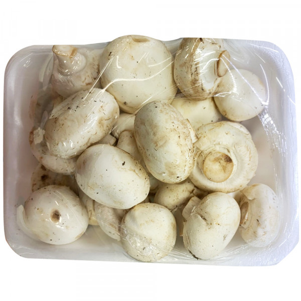 White mushrooms / 白蘑菇