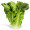 Romaine lettuce / 罗马生菜  -1 PC