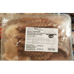 Squid Temacles / 鱿鱼须 - 1Kg