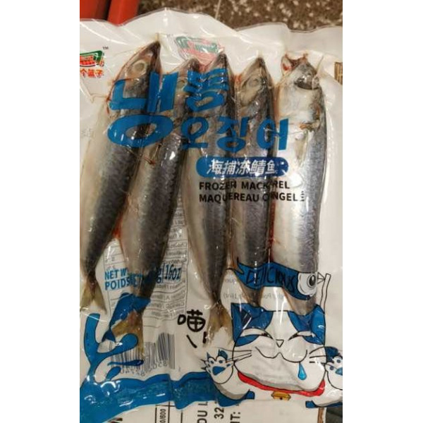 Frozen Fish /海捕冻鲭鱼 -  480g