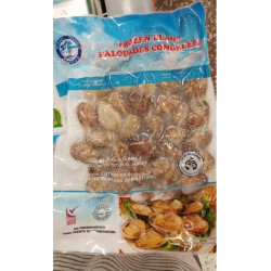 Frozen Clam / 冰鲜花蛤