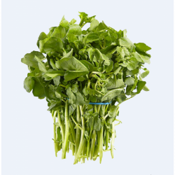Watercress / 西洋菜 Watercress / 西洋菜
