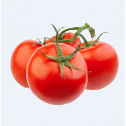 Vine Tomatoes /有枝西红柿 - 5 PCs  Vine Tomatoes /有枝西红柿 - 5 PCs