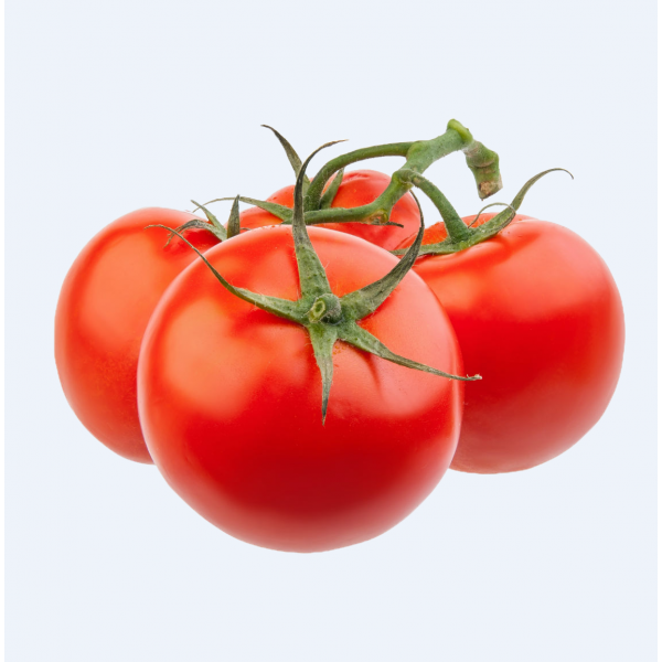 Vine Tomatoes /有枝西红柿 - 5 PCs 