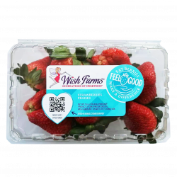 Strawberries / 盒装草莓