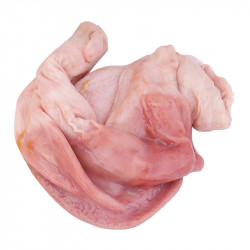 Pork Stomach / 猪肚 ~ 1Un