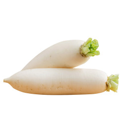 White Radish  /白萝卜- 1PCs White Radish  /白萝卜- 1PCs