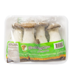 King Oyster Mushrooms / 皇子菇 - 1盒