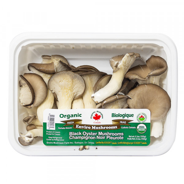 Black Oyster Mushrooms BIO / 有机平菇 - 150g