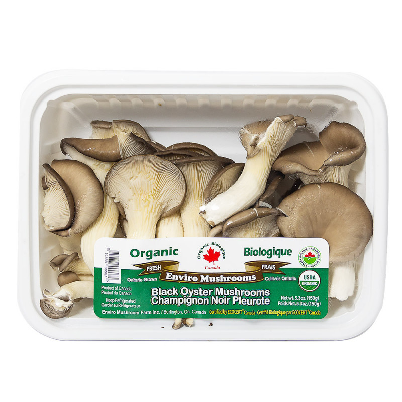 Champignons noirs bio - 40 g