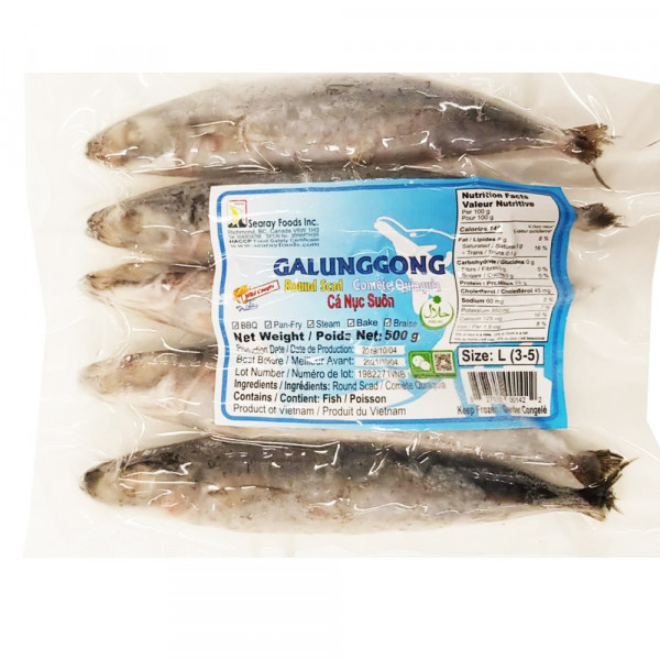 Galunggong / 急冻鲹鱼 500g