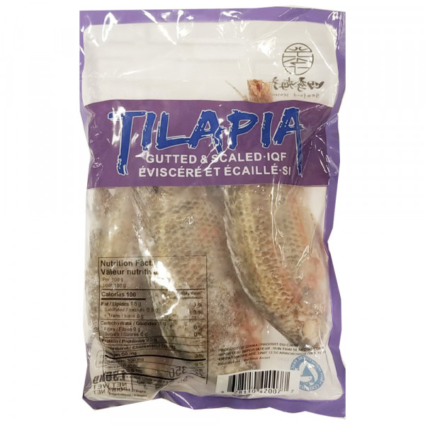 Tilapia / 罗非鱼