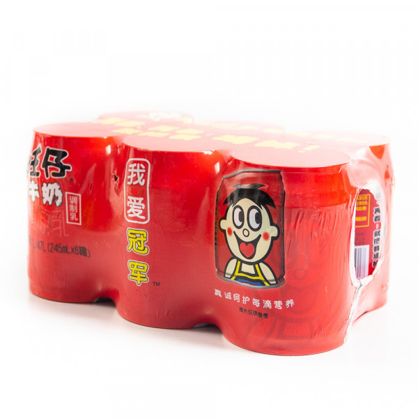 Hot Kid Milk Flavoured Drink/旺仔牛奶 - 245mL x 6