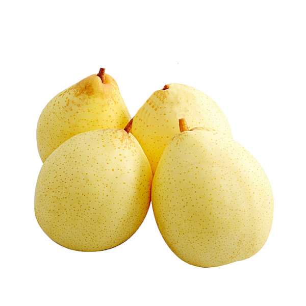 Ya Pears - 4 PCs / 鸭梨 - 4个