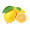 Lemon /黄柠檬 4 PCs