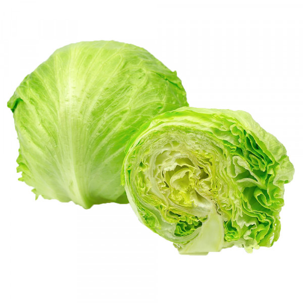 Iceberg Lettuce /圆生菜 - 1 PC