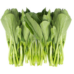 Yuchoy / 油菜~ 1.5lbs Yuchoy / 油菜~ 1.5lbs