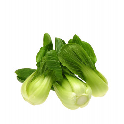 Shanghai Bok Choy / 上海白~ 1.5lbs