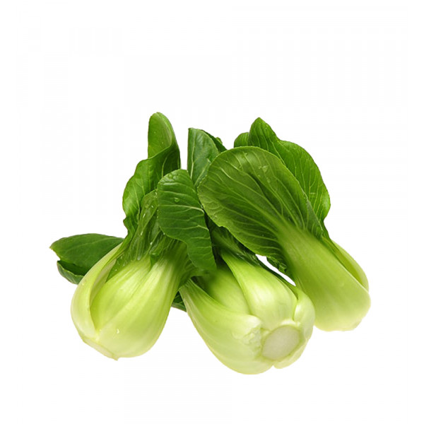 Shanghai Bok Choy / 上海白~ 1.5lbs