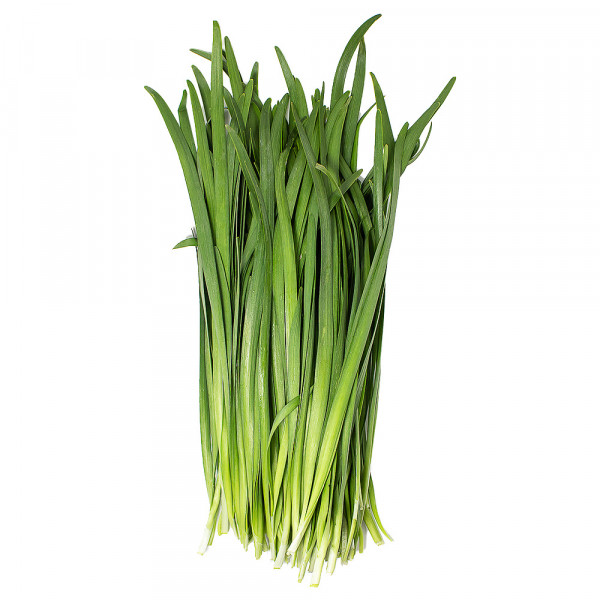 chives /  新鲜韭菜 ~ 1.5lbs