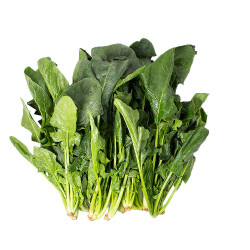 spinach / 新鲜菠菜~ 2lbs