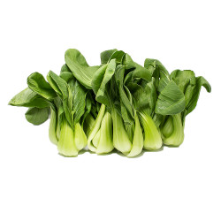 ShangHai Miu / 上海苗~ 1.5lbs