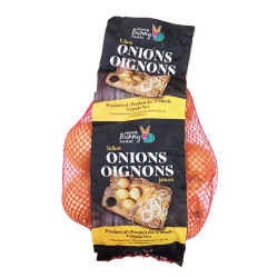 Yellow Onions / 魁北克洋葱- 2lbs Yellow Onions / 魁北克洋葱- 2lbs