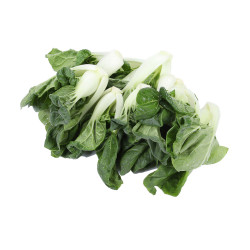 NaiYu Bok Choy /奶油白  ~ 1.5lbs