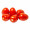 Roma Tomatoes / 罗马西红柿 - 6 PCs