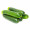 Zuchini/Green Zucchinis / 日本青瓜 - 3PCs