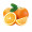 Sweet Oranges / 甜橙 --3 PCs